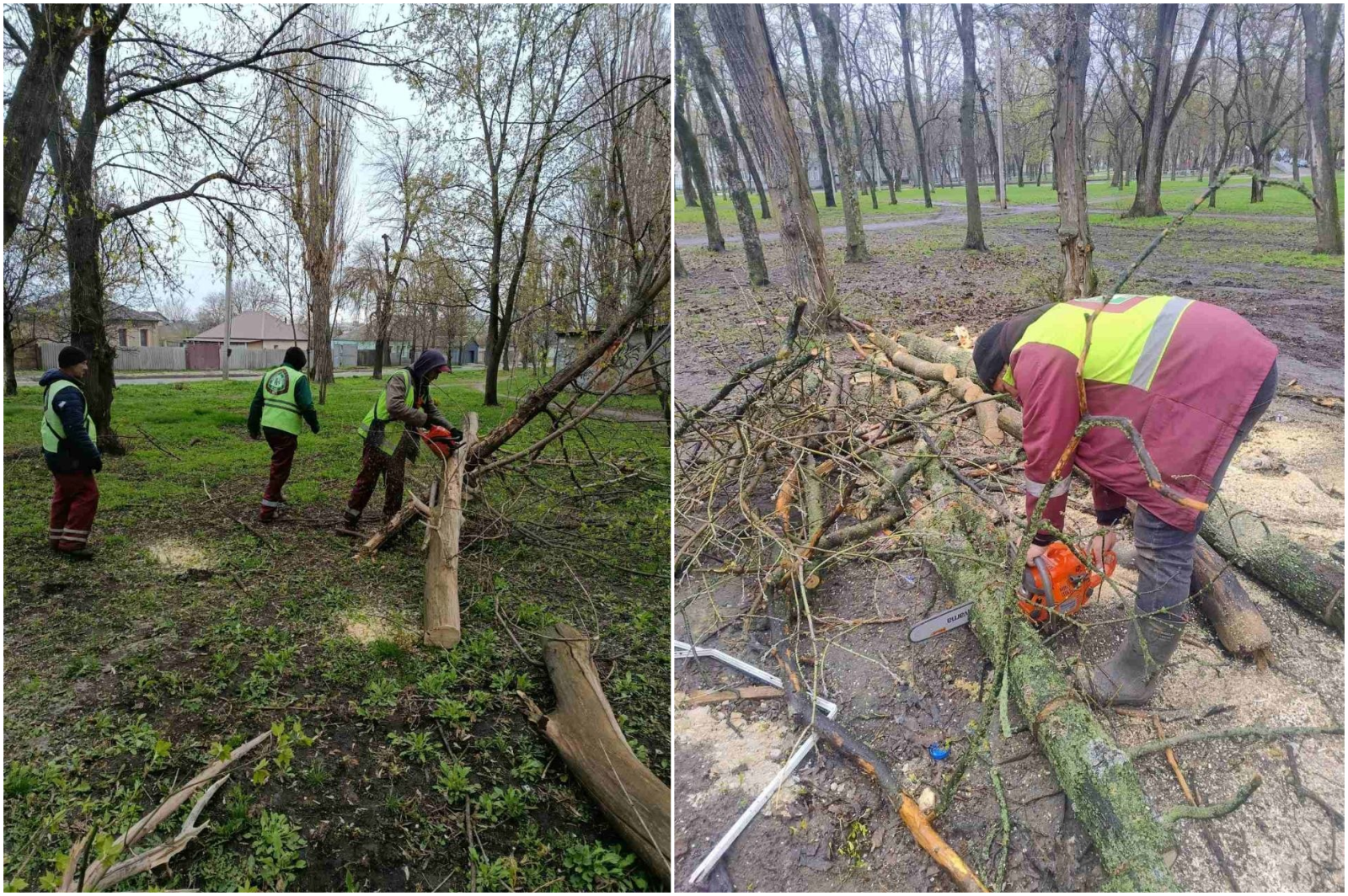 Впали та поламані десятки дерев через буревій у місті: Новини Харкова